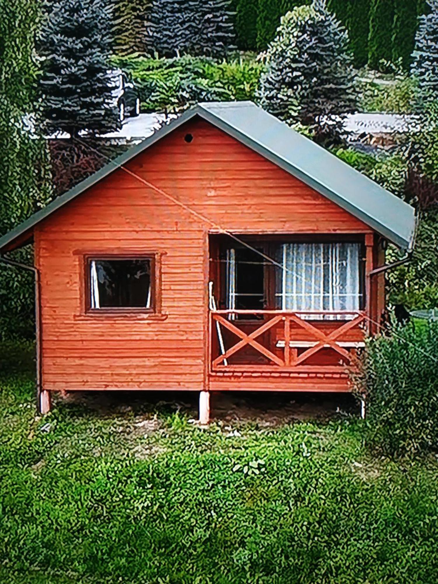Villa Wilkowka Wolkowyja Esterno foto