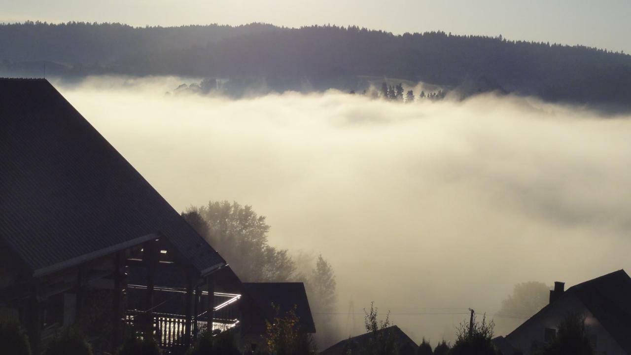 Villa Wilkowka Wolkowyja Esterno foto