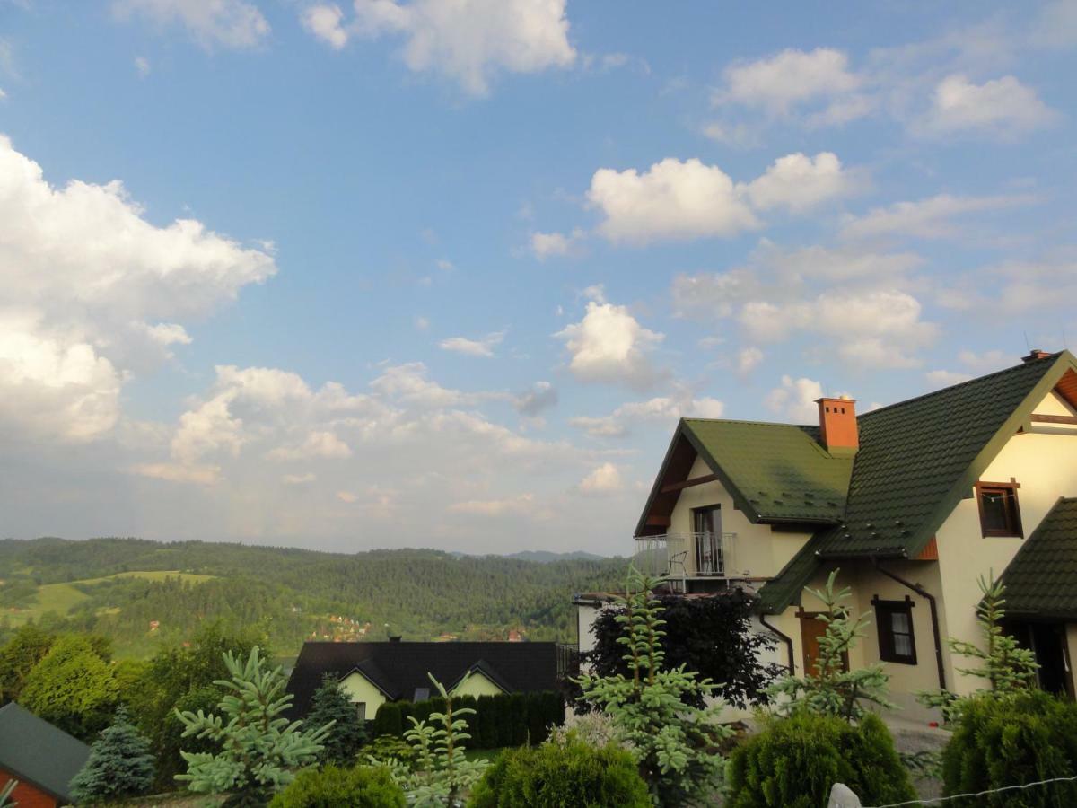 Villa Wilkowka Wolkowyja Esterno foto